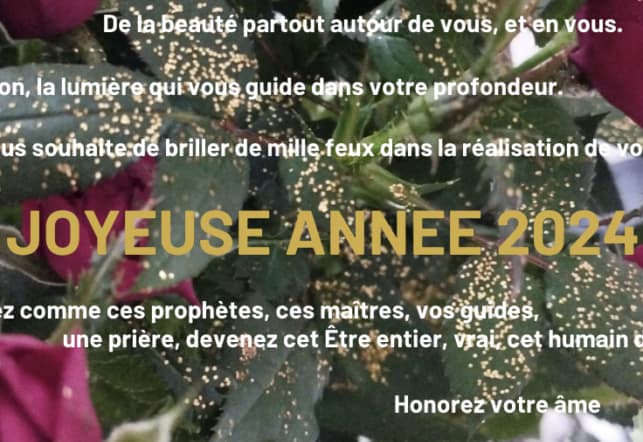 You are currently viewing Joyeuse année 2024